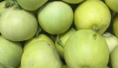 Buah Melon Apel
